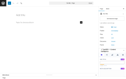 Page screenshot: Add Page &lsaquo; Test site &mdash; WordPress