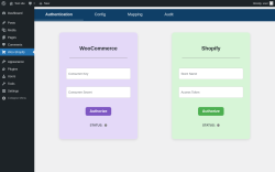 Page screenshot: Woo-Shopify