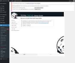 Page screenshot: Performance  &rarr; Database Cache