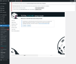 Page screenshot: Performance  &rarr; Page Cache