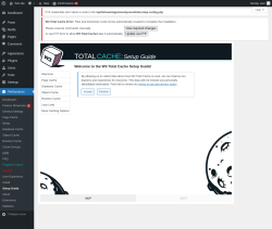 Page screenshot: Performance  &rarr; Object Cache
