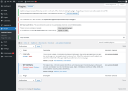 Page screenshot: Plugins &lsaquo; Test site &mdash; WordPress