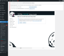 Page screenshot: Performance  &rarr; Cache Groups