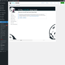 Page screenshot: Performance  &rarr; About