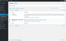 Page screenshot: Plugins &lsaquo; Test site &mdash; WordPress