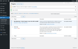 Page screenshot: Plugins ‹ Test site — WordPress