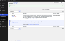 Page screenshot: Plugins &lsaquo; Test site &mdash; WordPress