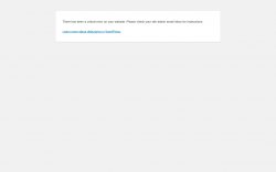 Page screenshot: WordPress &rsaquo; Error