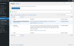 Page screenshot: Plugins &lsaquo; Test site &mdash; WordPress