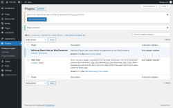 Page screenshot: Plugins &lsaquo; Test site &mdash; WordPress