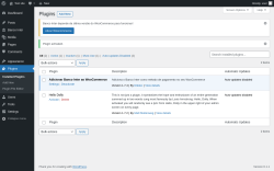 Page screenshot: Plugins &lsaquo; Test site &mdash; WordPress