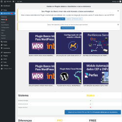 Page screenshot: Banco inter  &rarr; Painel 