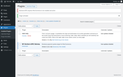 Page screenshot: Plugins &lsaquo; Test site &mdash; WordPress
