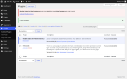 Page screenshot: Plugins &lsaquo; Test site &mdash; WordPress