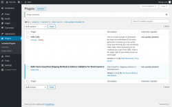 Page screenshot: Plugins ‹ Test site — WordPress