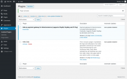 Page screenshot: Plugins ‹ Test site — WordPress