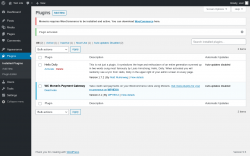 Page screenshot: Plugins &lsaquo; Test site &mdash; WordPress