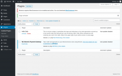 Page screenshot: Plugins &lsaquo; Test site &mdash; WordPress