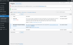 Page screenshot: Plugins &lsaquo; Test site &mdash; WordPress