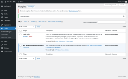 Page screenshot: Plugins &lsaquo; Test site &mdash; WordPress
