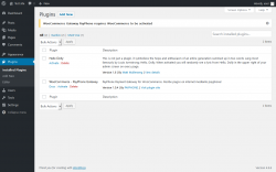 Page screenshot: Plugins &lsaquo; Test site &mdash; WordPress