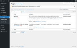 Page screenshot: Plugins &lsaquo; Test site &mdash; WordPress