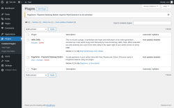 Page screenshot: Plugins &lsaquo; Test site &mdash; WordPress