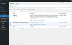 Page screenshot: Plugins &lsaquo; Test site &mdash; WordPress