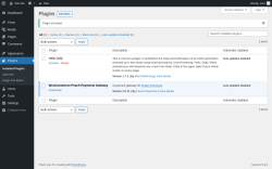 Page screenshot: Plugins &lsaquo; Test site &mdash; WordPress