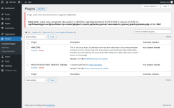 Page screenshot: Plugins &lsaquo; Test site &mdash; WordPress