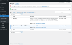 Page screenshot: Plugins &lsaquo; Test site &mdash; WordPress