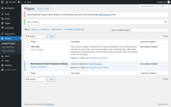 Page screenshot: Plugins &lsaquo; Test site &mdash; WordPress