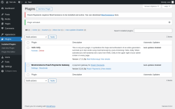 Page screenshot: Plugins &lsaquo; Test site &mdash; WordPress