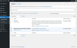 Page screenshot: Plugins &lsaquo; Test site &mdash; WordPress