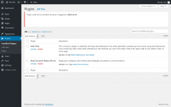 Page screenshot: Plugins &lsaquo; Test site &mdash; WordPress
