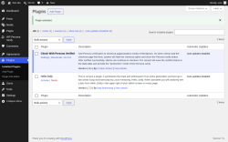 Page screenshot: Plugins &lsaquo; Test site &mdash; WordPress