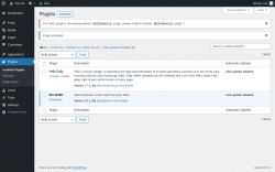 Page screenshot: Plugins &lsaquo; Test site &mdash; WordPress