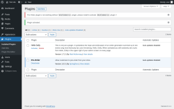 Page screenshot: Plugins &lsaquo; Test site &mdash; WordPress