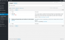 Page screenshot: Plugins ‹ Test site — WordPress