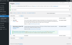Page screenshot: Plugins ‹ Test site — WordPress