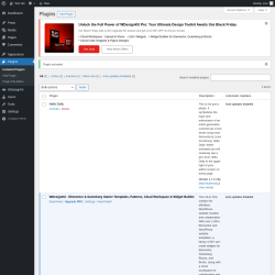 Page screenshot: Plugins &lsaquo; Test site &mdash; WordPress