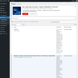 Page screenshot: Plugins &lsaquo; Test site &mdash; WordPress