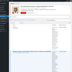 Page screenshot: Plugins &lsaquo; Test site &mdash; WordPress