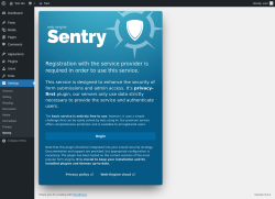 Page screenshot: Settings &rarr; Sentry