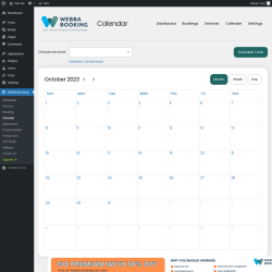 Page screenshot: Webba Booking → Calendar