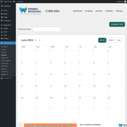Page screenshot: Webba Booking → Calendar
