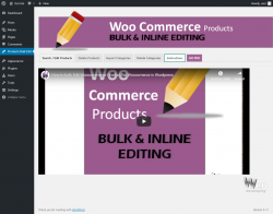 Page screenshot: Products Bulk Edit &rarr; Instructions