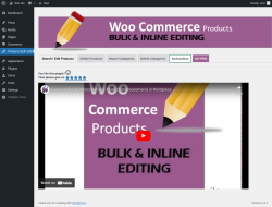 Page screenshot: Products Bulk Edit &rarr; Instructions