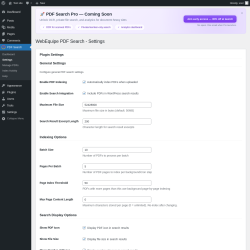 Page screenshot: PDF Search &rarr; Settings