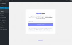 Page screenshot: Webflow Pages &rarr; Settings